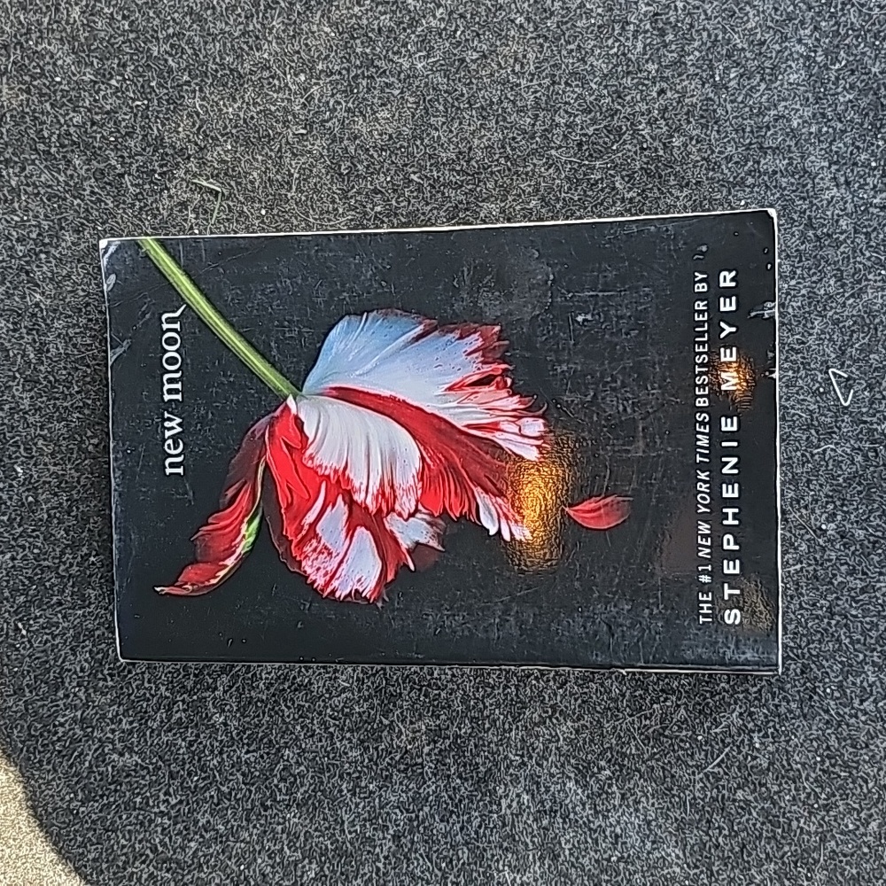 2006 New Moon Book